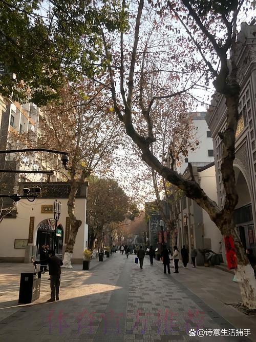 安帅:对塞巴略斯伤情感到遗憾 但我们还有魔笛